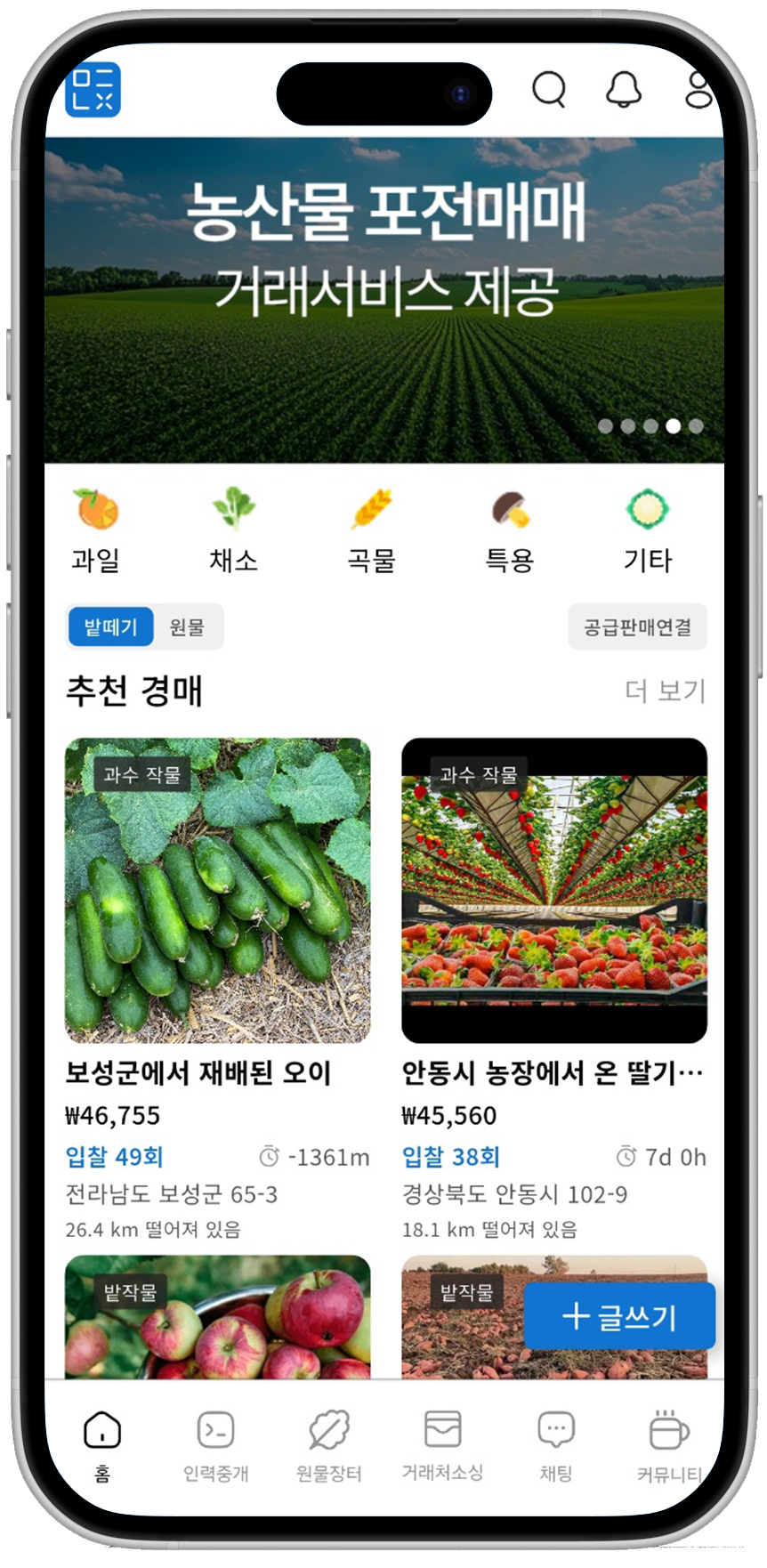 포전매매 화면